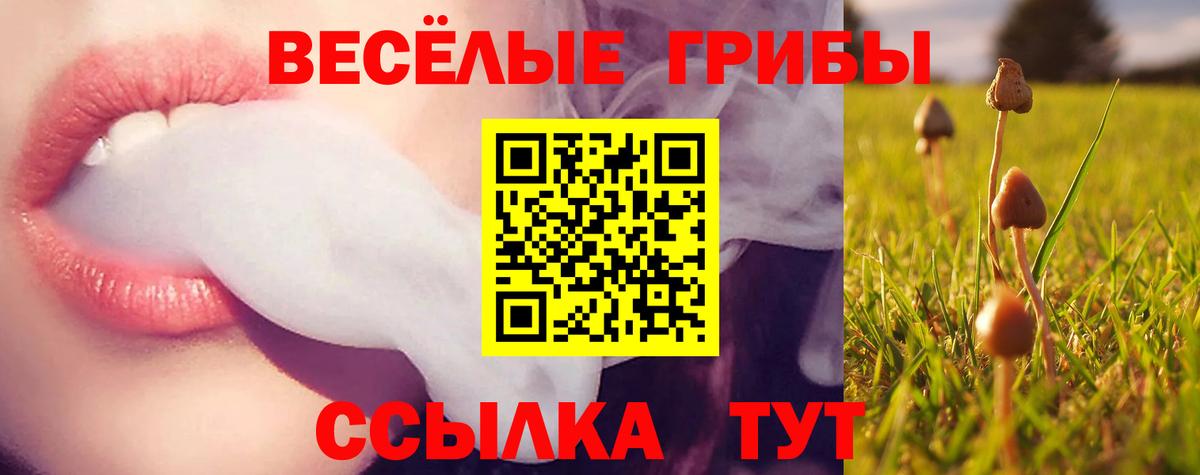 Псилоцибиновые грибы мухоморы  где купить наркоту  Североморск  Галлюциногенные грибы ЛСД  Вход с VPN 